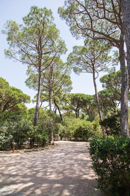 Villa Roccapini Castiglione della Pescaia Luaran gambar